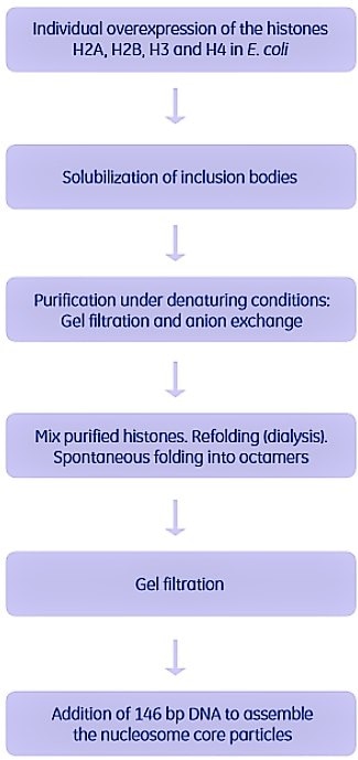 Puriﬁcation of the individual subunits