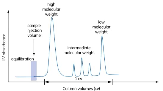Figure A1.7. Typical GF elution.