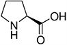 Proline, Pro, P