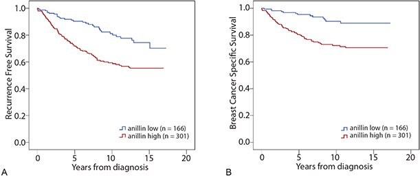 kaplan-meier-survival-analysis-2