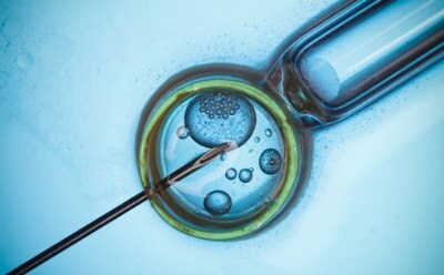 Microscopic view of a needle injecting an oocyte during in vitro fertilization (IVF) cell culture 