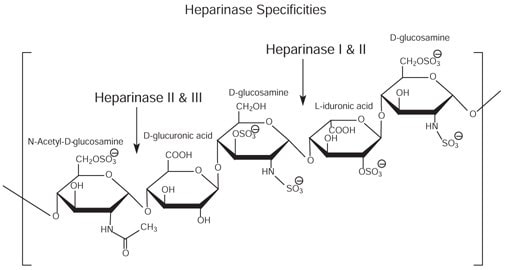 Heparan and heparin glycosaminoglycan consist of heterogeneous mixtures of repeating units of D-glucosamine and L-iduronic acids or D-glucuronic acids, sulfation at each residue may vary.