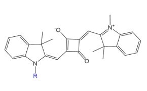 Structure features a square fluorophore with aromatic rings, charged nitrogen, and a blue R group indicating variable substitution.
