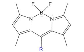 Black-on-white  structure of Top Fluor™ shows  a fluorinated aromatic ring with  F-labeled substituents, highlighting  its fluorescent molecular design.