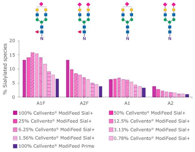 Effect on sialylated species by altering the ratio of the Cellvento® ModiFeed Prime and Cellvento® ModiFeed Sial+ feed combination Bar chart showing how a higher percentage of Cellvento® ModiFeed Sial+ COMP contained within the feed mix increased the level of sialylation and galactosylation of a fusion protein on day 12, whereby terminal GlcNAc was reduced.