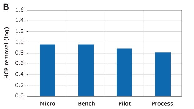 Bar graphs depicting the scale-up performance of Natrix® CH devices: Micro, Bench, Pilot, and Process. The left panel (A) shows aggregate removal percentages, which are consistently low across all device scales, with a red dotted line indicating the aggregate content in the feed.