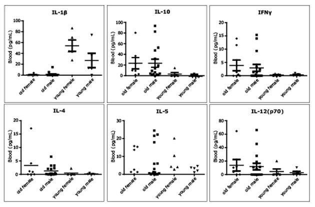 Data showing how the MILLIPLEX® Mouse High Sensitivity T Cell Panel performed in an aging mouse model. C57Bl/6 control mice were from Bioreclamation IVT, Westbury, NY. Young was 4 months and old was 20 to 22 months.