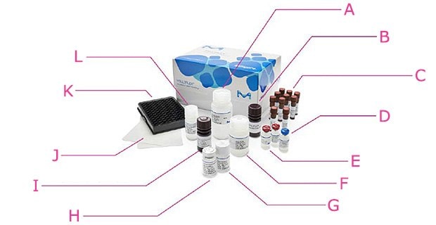 Components of quantitative MILLIPLEX<sup>®</sup> kit