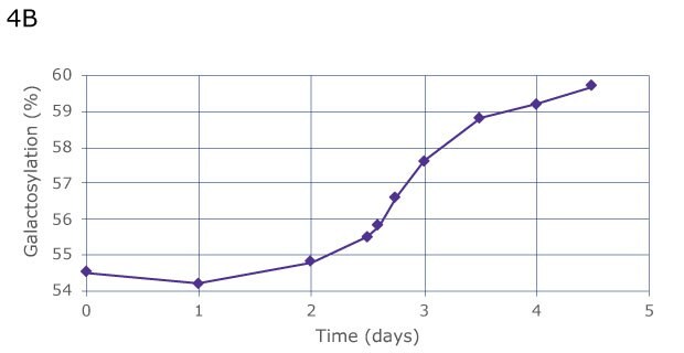 Increased Galactosylation in Response to Step Changes in Galactose. Automated sampling shows the same constant increase of galactosylation over 4 days, from 54.5% on day 0 to 59% on day 4, but provides greater insight due to more frequent data collection, thus allowing to observe a more precise curve progression between day 2 and 3.