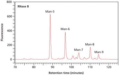 Normal phase HPLC profile of the 2‑AB labeled N-linked glycan library obtained from RNase B