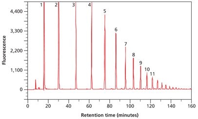 Separation of partially hydrolyzed 2‑AB labeled Dextran Ladder by normal phase HPLC