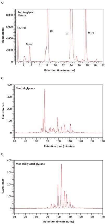 Separation of neutral and acidic glycans of fetuin by weak anion-exchange chromatography