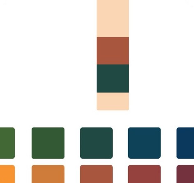 Color strip for pH determination compared with a row of reference color squares on a white background. Color strip for pH determination compared with a row of reference color squares on a white background.