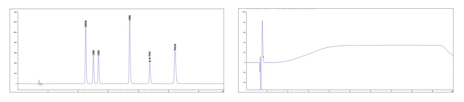 Rapid Gradient Method