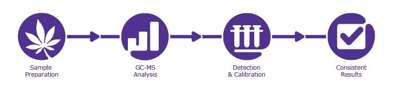 Workflow for the analysis of terpenes in Hemp and Cannabis Workflow for the analysis of terpenes in Hemp and Cannabis