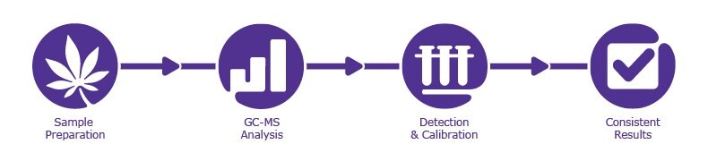 Workflow for the analysis of terpenes in Hemp and Cannabis