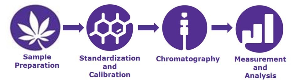 Workflow for cannabinoid analysis in hemp and cannabis