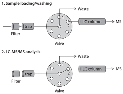 Configuration of the LC-MS System and Valve Positions for Online SPE/LC-MS