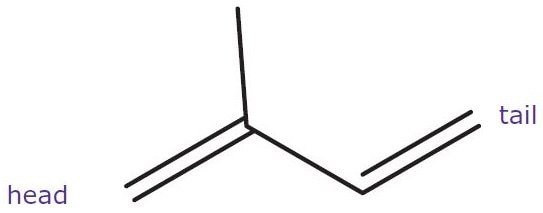 Isoprene Unit