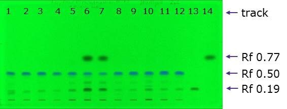 Developed plate at 254 nm