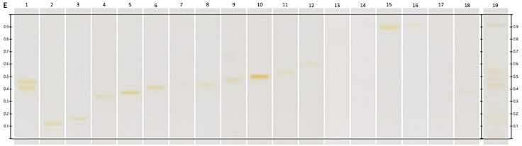 Chromatograms under UV