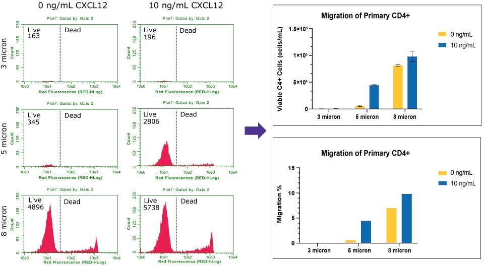 Histograms of the live/dead cell count of human primary CD4+ cells and quantification of the percent migration.