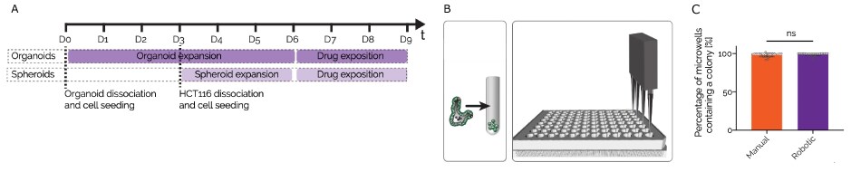 Protocol for the compound screen of CRC organoids and HCT-116 spheroids on Millicell® Microwell plates