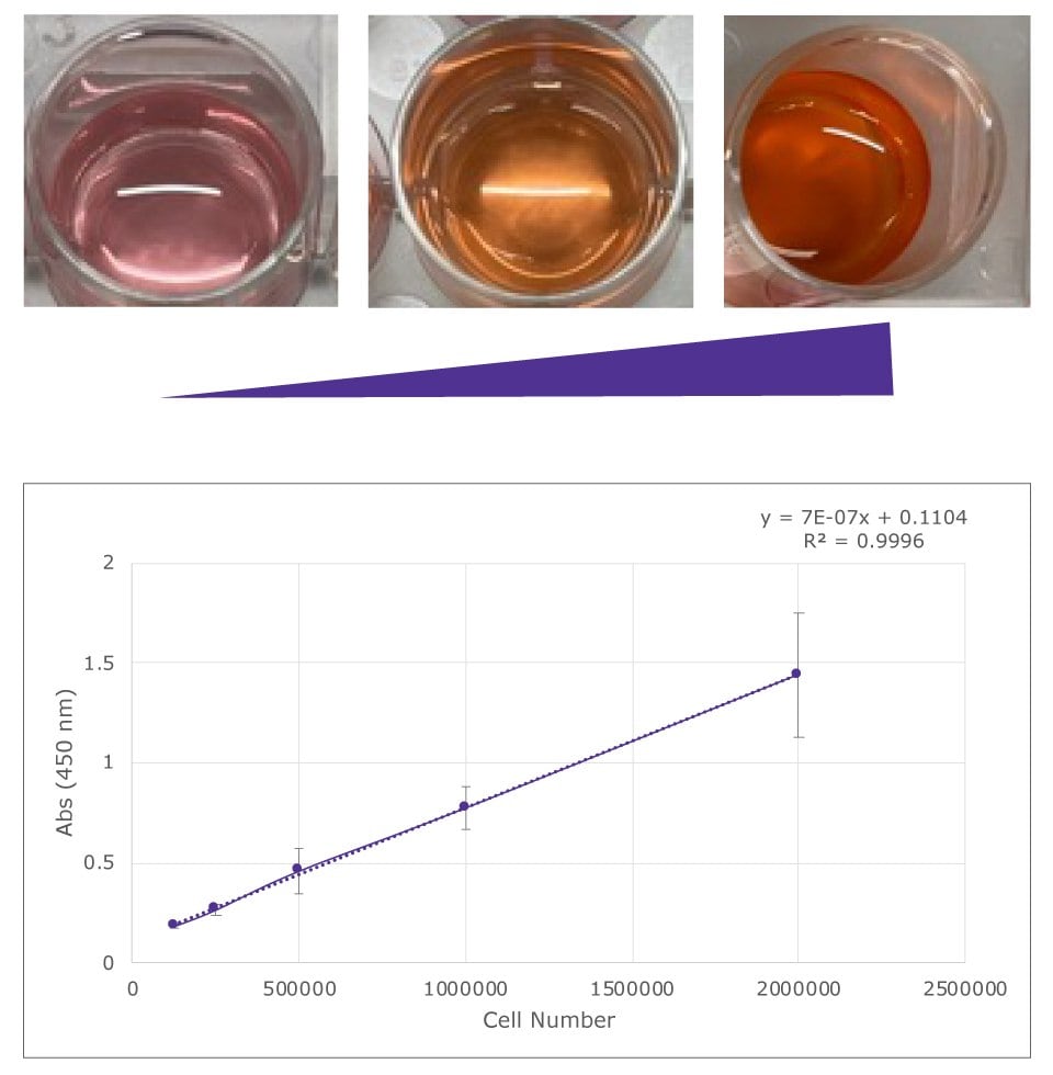 Colorimetric readout of EZ-MTT reagent with Jurkat cells and quantification of colorimetric readout of EZMTT cell proliferation reagent added to varying concentrations of Jurkat cells