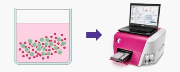 A flow cytometry method to quantify CD4+ migrated cells towards chemoattractant