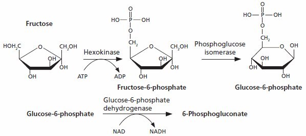 果糖检测试剂盒 果糖在己糖激酶催化的反应中被 ATP 磷酸化。