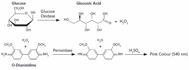 葡萄糖 (GO) 检测试剂盒 通过葡萄糖氧化酶 (GO) 和过氧化物酶检测葡萄糖