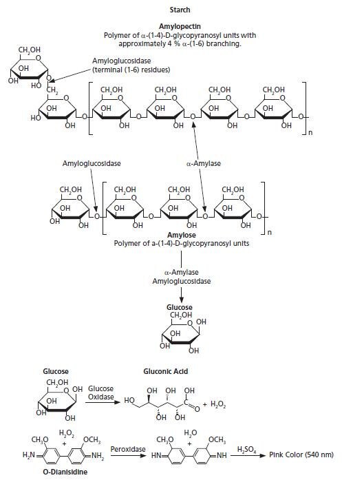 淀粉 (GO/P) 检测试剂盒 淀粉水解为葡萄糖的过程由淀粉葡糖苷酶催化。