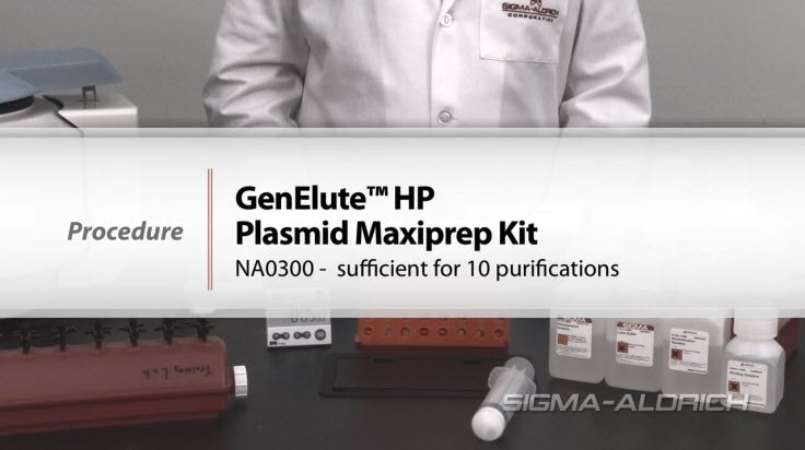 GenElute™ HP Plasmid Maxiprep Procedure