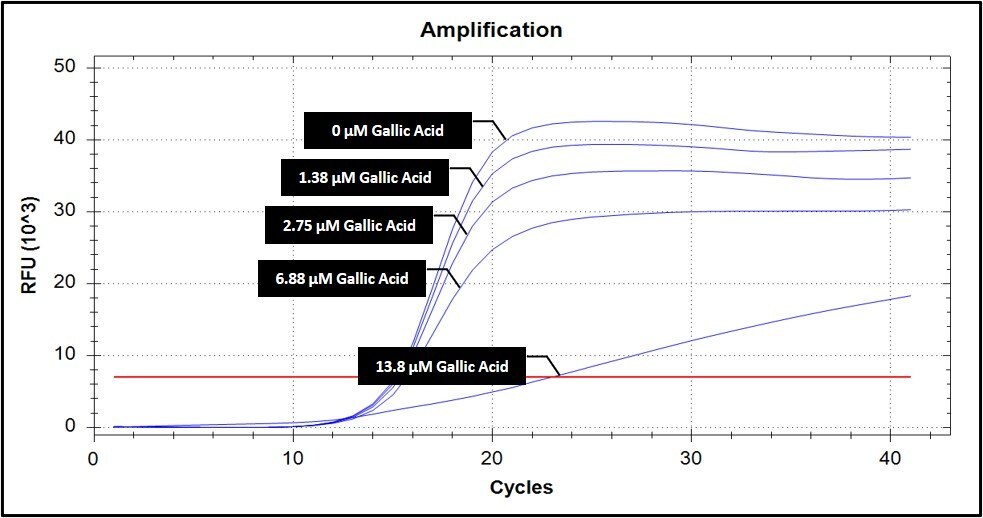 PCR inhibitor gallic acid spiking assay in qPCR Spiking assay of gallic acid in qPCR.