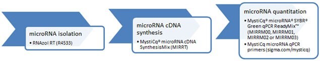 microRNA Workflow