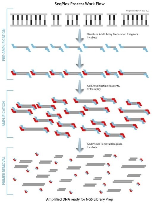 SeqPlex Process Workflow 