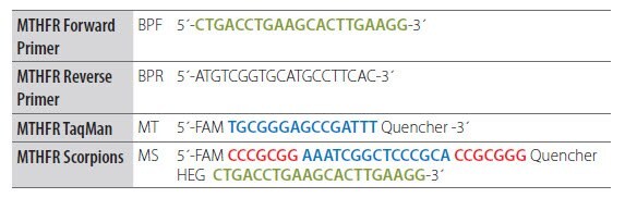 Adaptation of a Dual-Labeled Probe Assay