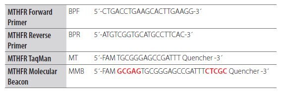 Adaptation of a Dual-Labeled Probe Assay to a Molecular Beacon