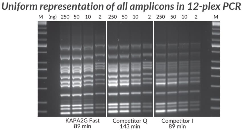 采用KAPA2G Fast多重PCR试剂盒、竞品Q和竞品I进行多重PCR（12重）。