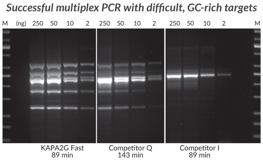 采用KAPA2G Fast多重PCR试剂盒、竞品Q和竞品I进行高GC多重PCR（6重）。