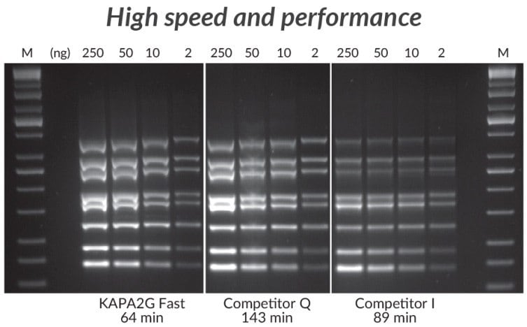 采用KAPA2G Fast多重PCR试剂盒、竞品Q和竞品I进行多重PCR（8重）。