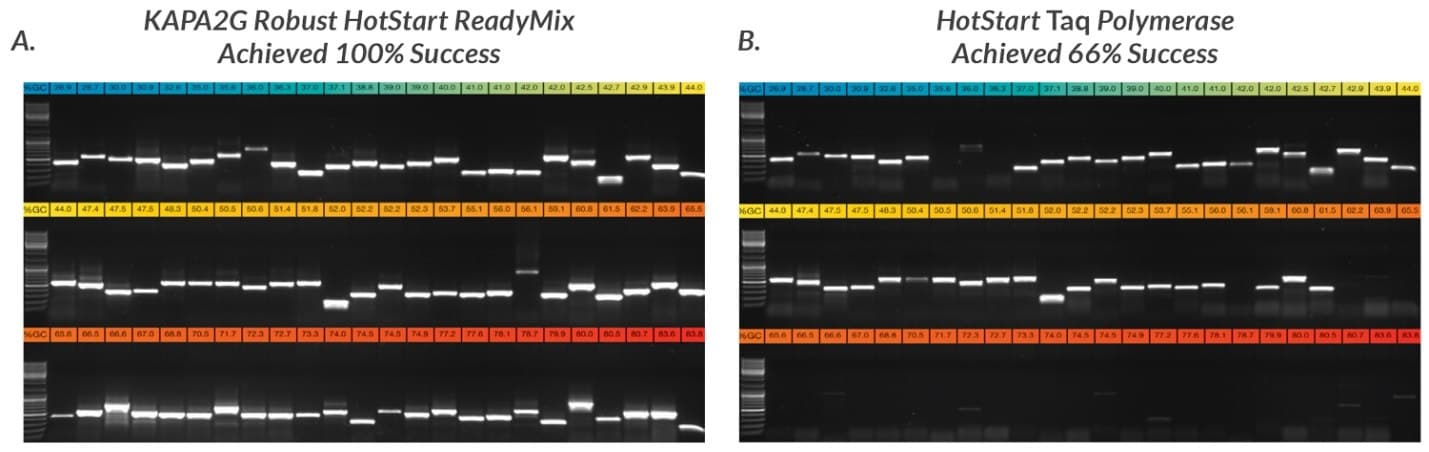 将由该研究中所使用的96条引物组合中的72条引物获得的每种PCR产物的一半，用1% TBE琼脂糖凝胶进行电泳分析。按照GC含量升高的顺序进行扩增子上样，即每张合成胶图的左上角为最低的GC含量（27%，蓝色），而右下角为最高的GC含量（84%，红色）。
