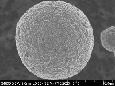 SEM images of cathode materials: AI doped NMC811 The images reveal spherical particles of varying sizes, with some exhibiting a smooth surface and others showing a more textured appearance, indicating differences in material composition and structure.
