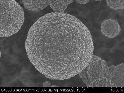 SEM images of cathode materials: NMC811 The images reveal spherical particles of varying sizes, with some exhibiting a smooth surface and others showing a more textured appearance, indicating differences in material composition and structure.