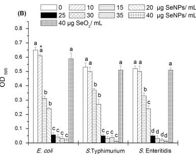 Antimicrobial effect of (0, 5, 10, 15, 20, 25, 30, 35 and 40 µg/mL) SeNPs against 3 gram-negative food borne pathogens.