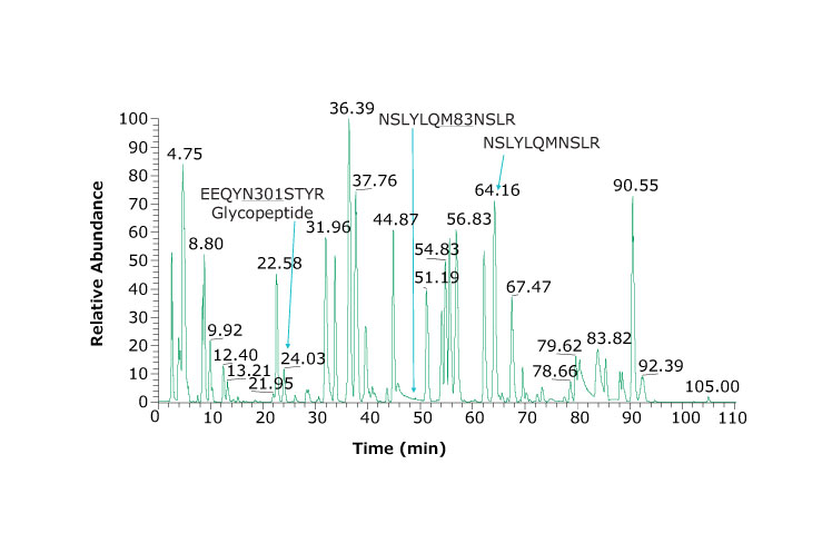 Base peak chromatogram of adalimumab tryptic peptides. Heavy chain glycosylated peptide (EEQYN301STYR) is observed at 24.03 min. Using a dual column set up and an example peptide and its oxidized form are NSLYLQM83NSLR and NSLYLQMNSLR and eluting at 49.30 and 64.16 min, respectively.