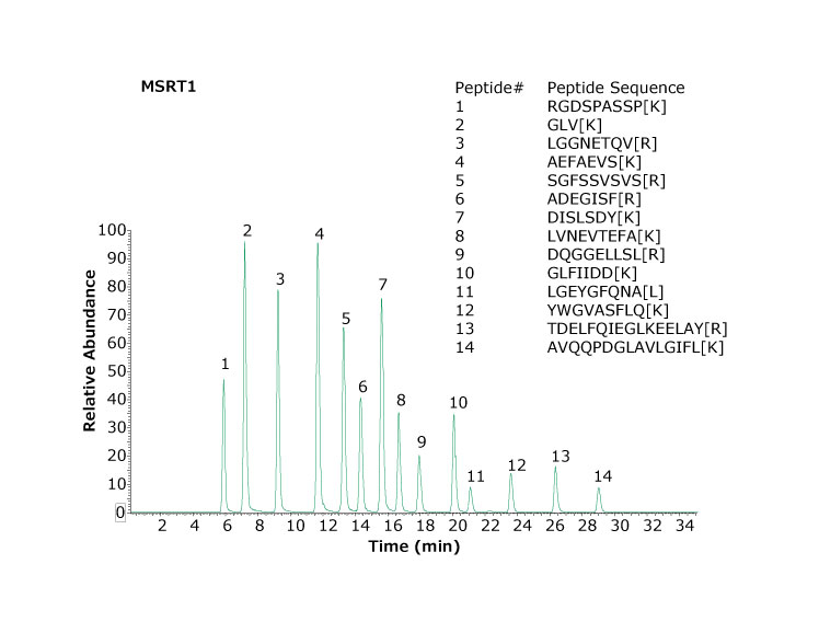 使用两根 Ascentis™ Express Peptide ES-C18 色谱柱（1.0 mm x 150 mm，2.7 μm 粒径）分离的 MSRT1 肽基峰色谱图。插图中括号内的氨基酸表示同位素标记氨基酸。