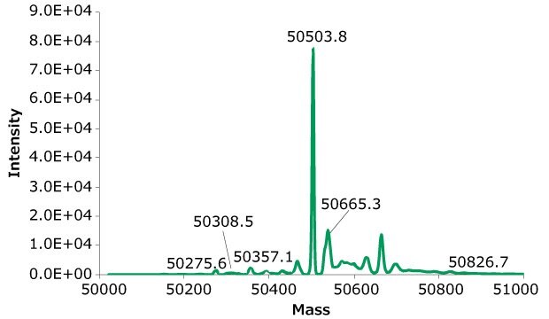 Exemplary deconvoluted SEC-MS spectra of rituximab from clones 27. The MS peak annotations correspond to glycoform glycans listed in Tables 7 and 8.