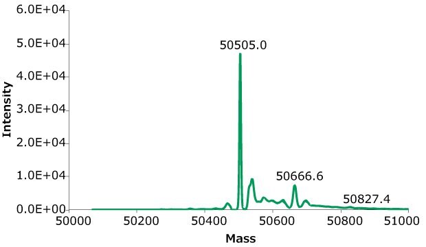 Exemplary deconvoluted SEC-MS spectra of rituximab from clones 8. The MS peak annotations correspond to glycoform glycans listed in Tables 7 and 8.