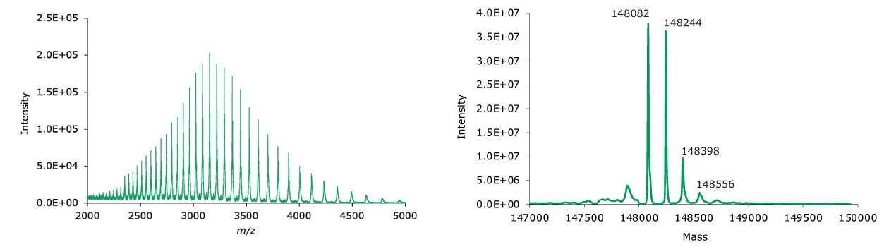 MS data for non-reduced adalimumab. Left: summed spectrum; right: deconvoluted spectrum.